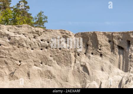 Nesting place for the Sand Martin, or Bank swallows - Riparia riparia - nest colony against a blue sky Stock Photo