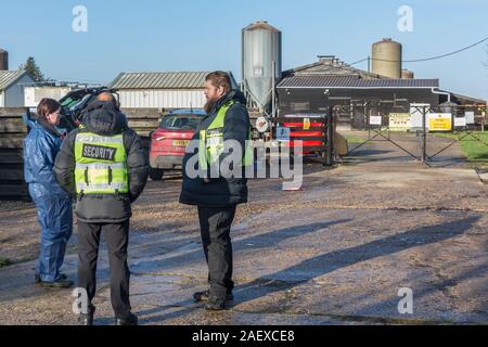 11th December 2019. An outbreak of Bird Flu,  Avian Influenza at Homefield Farm, Athelington, Suffolk, UK.  The scene at the gates of Homefield Farm. Stock Photo