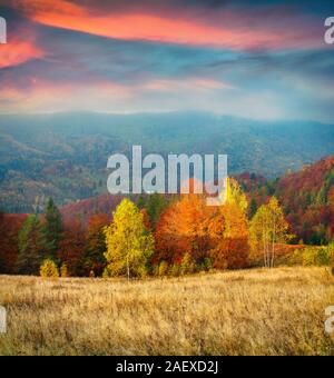 Colorful autumn morning in the Carpathian mountains. Borzhava ridge ...