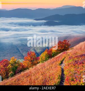 Foggy autumn morning in the carpathian mountains Stock Photo