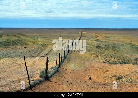 long dog fence