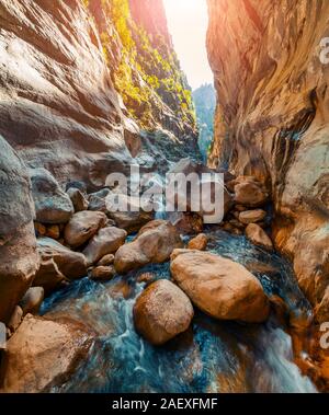 Colorful spring scene inside Goynuk canyon, located in District of Kemer, Antalya Province. Beautiful morning scenery in Turkey, Asia. Artistic style Stock Photo