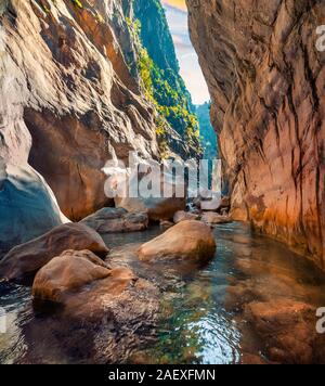 Colorful spring scene inside Goynuk canyon, located in District of Kemer, Antalya Province. Beautiful morning scenery in Turkey, Asia. Artistic style Stock Photo