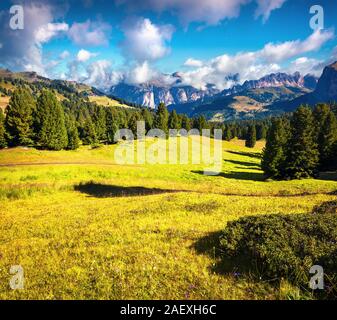 Sunny countryside scene in the Gardena valley. Colorful summer landscape in Dolomite Alpsfrom, view from Sella pass in National Park Odle Geisler. Sou Stock Photo