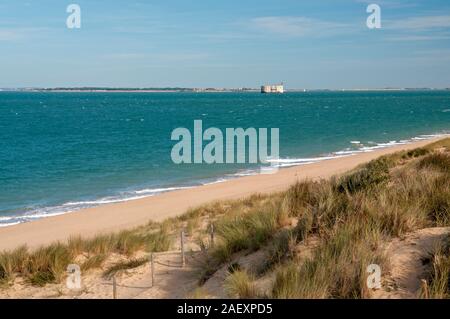 Saumonards beach with Fort Boyard in the background, Ile d'Oleron, Charente-Maritime (17), Nouvelle-Aquitaine region, France Stock Photo