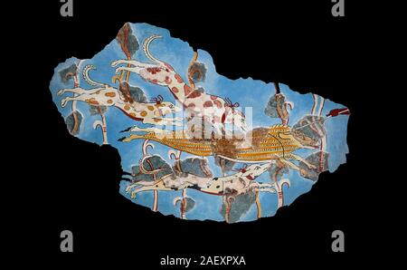 Mycenaean Fresco wall painting of a Wild Boar Hunt from the Tiryns, Greece. 14th - 13th Century BC. Athens Archaeological Museum. Black Background Stock Photo