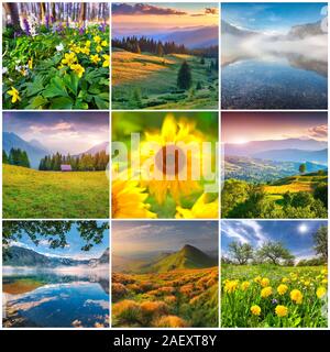 Collage with 9 square summer landscapes. Stock Photo