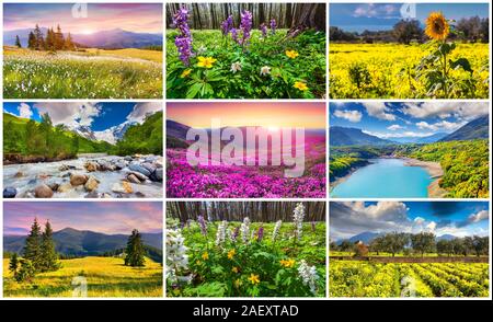 Collage with 9 colorful summer landscapes. Stock Photo