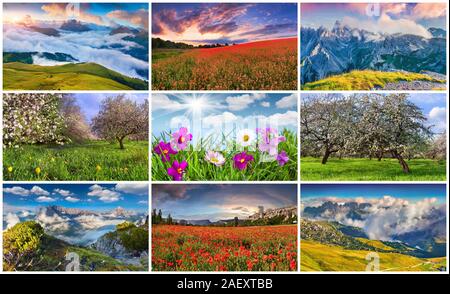 Collage with 9 colorful summer landscapes. Stock Photo