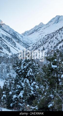 vertical panorama of the mountain gorge in winter