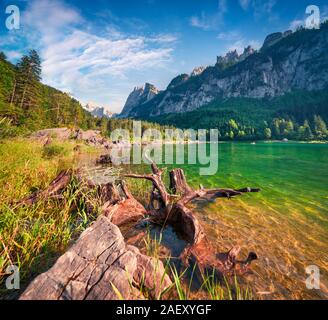 Sunny summer morning on the Gosau Lake (Vorderer Gosausee) with view of Hoher Dachstein and Gosau glacier. Colorful outdoor scene in Upper Austrian Al Stock Photo