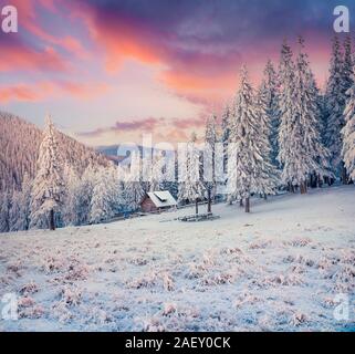 Beautiful winter sunrise in Carpathian mountains with snow cowered grass andtrees. Colorful outdoor scene, Happy New Year celebration concept. Artisti Stock Photo