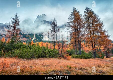 Foggy outdoor scene with Cristallo mount on background. Colorful autumn landscape in Dolomite Alps, Cortina d'Ampezzo location, Italy, Europe. Stock Photo