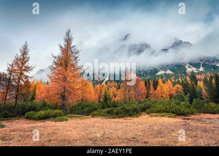 Foggy outdoor scene with Cristallo mount on background. Colorful autumn landscape in Dolomite Alps, Cortina d'Ampezzo location, Italy, Europe. Stock Photo