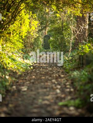 Cemetery footpath. A tranquil autumnal rural scene leading to grave stone in an old English graveyard. Stock Photo