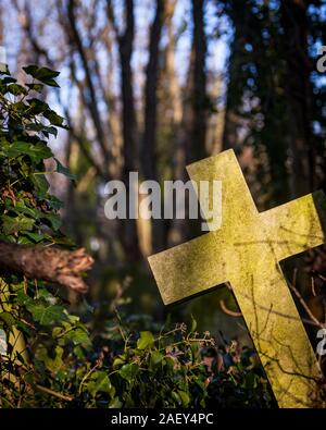 Crucifix grave stone. An overgrown graveyard in the late autumnal sun with a neglected headstone taken over by weeds and ivy. Stock Photo