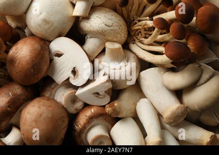 Different mushrooms textured background, close up Stock Photo