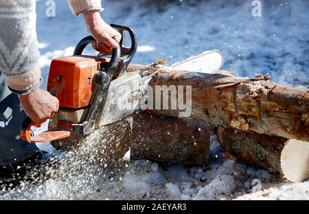 Illegal logging in Romania: Worker trimming wood with chainsaw during winter. Deforestation concept Stock Photo