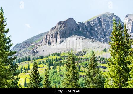 Green pine forest trees summer view from Colorado million dollar highway scenic road 550 San Juan rocky mountains near Silverton Stock Photo