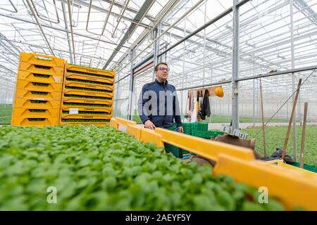 Greenhouse Manager Paul Ruser tend to sallad plants at the Gebr. Meier Greenhouse in Hinwil outside Zurich. Commercial greenhouses utilize tecnhical CO2 to increase the crop yield. Traditionally the CO2 production is done with burning fossil fuels, but the Meier Greenhouse get their CO2 locally the Swiss company Climeworks. Founded in 2009 by Christoph Gebald and Jan Wurzbacher, the company has commercialized the modular carbon capture unit, each of which is capable of sucking up to 135 kilo of CO2 out of the air daily. The CO2 collectors use excess energy from the Kezo Waste Incinerator to ru
