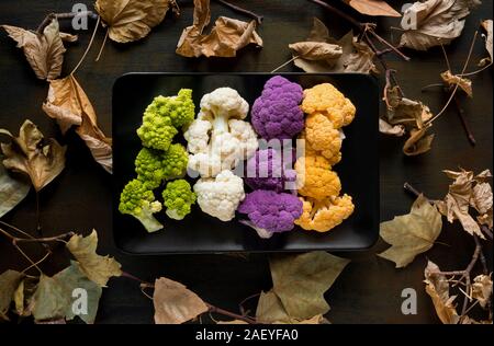 various type colored cabbage on autumnal background Stock Photo