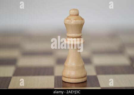 Chess photographed on  white background- Image Stock Photo