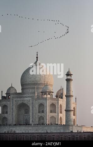The Taj Mahal is an ivory-white marble Islamic mausoleum in Agra, Uttar Pradesh, India. Since 1986 it's an UNESCO World Heritage Site.