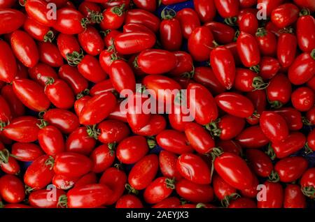 Close up of Roma tomatos ( Solanum lycopersicum ) Stock Photo