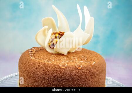 Spaghetti | Crazy cakes, Novelty cakes, Cupcake cakes