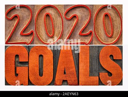 2020 goals banner - New Year resolution concept - isolated text in vintage letterpress wood type printing blocks stained by red ink Stock Photo