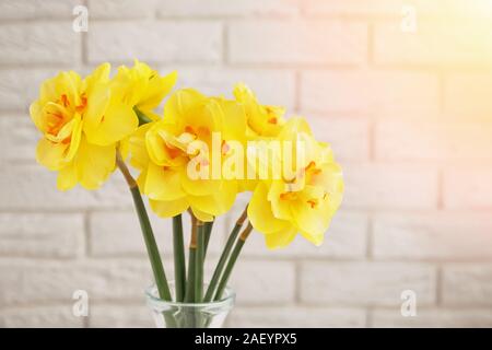 Bouquet of beautiful yellow spring flowers over the white brick wall close-up, sunny toned photo Stock Photo