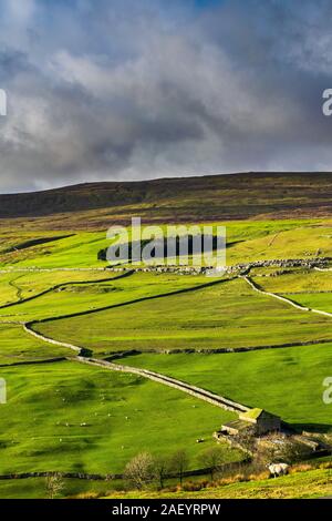 Darnbrook moor. Yorkshire Dales National Park Stock Photo