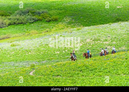 Mount Crested Butte, USA - June 21, 2019: Group of people on tour riding horses on trail in Colorado alpine meadows on ranch by Snodgrass hiking path Stock Photo