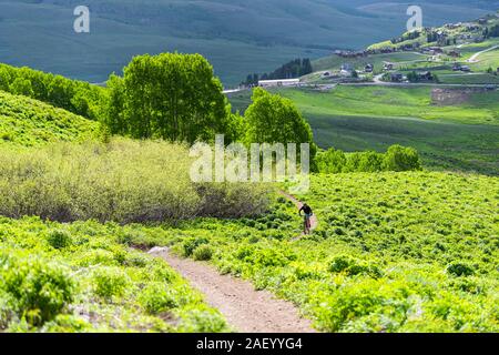 Mount Crested Butte, USA - June 21, 2019: Snodgrass trail with man riding bicycle on steep path high angle view in Colorado on popular road Stock Photo