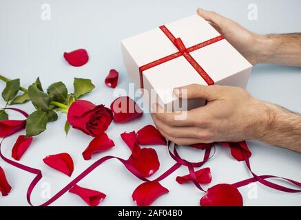 Present. gift with a red rose and rose petals on a light background. Hands of a man holding a gift. copyspace Stock Photo
