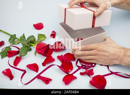 Present. gift with a red rose and rose petals on a light background. Hands of a man open a gift. copyspace Stock Photo