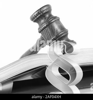 Paragraph and judge hammer in front of a law book Stock Photo