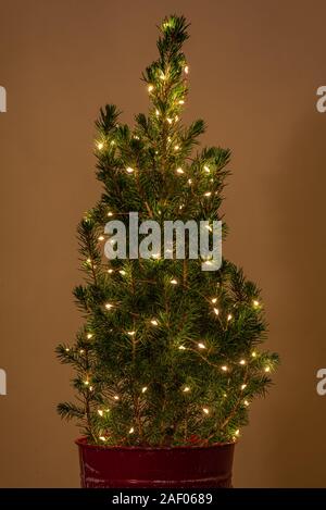 little adorable shiny Christmas tree Stock Photo