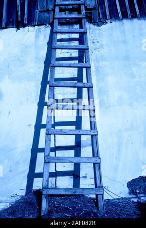Old wooden ladder with shadow near whitewashed plastered wall of the aged house toned in blue which is the main color trend of the year 2020. Stock Photo