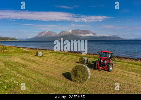 BAKKEJORD, KVALØYA ISLAND, TROMS, NORWAY - Farmer and farm tractor with round bales of hay, on Straumsfjorden fjord. Stock Photo