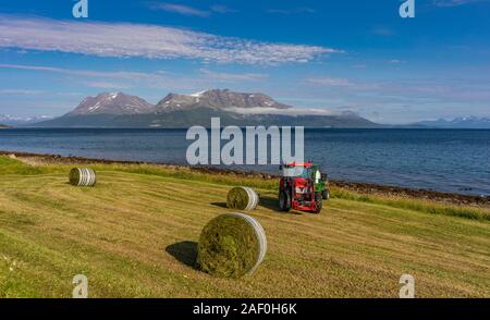 BAKKEJORD, KVALØYA ISLAND, TROMS, NORWAY - Farmer and farm tractor with round bales of hay, on Straumsfjorden fjord. Stock Photo