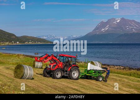 BAKKEJORD, KVALØYA ISLAND, TROMS, NORWAY - Farmer and farm tractor with round bales of hay, on Straumsfjorden fjord. Stock Photo