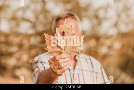 Maple leaf with heart-shaped cut held by an old man Stock Photo