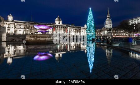 Reflection of the Christmas Tree in Trafalgar Square, London.