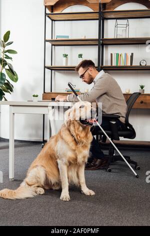 Blind man reading at table beside golden retriever Stock Photo