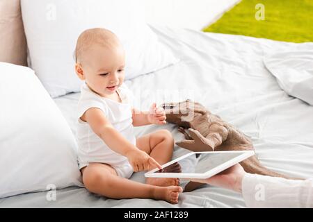 Cute barefoot child in white clothes pointing with finger at digital tablet near brown toy dinosaur Stock Photo