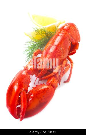 Red Lobster Isolated On White Stock Photo