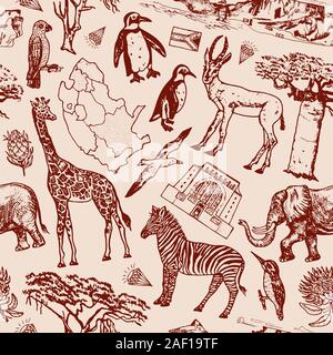 Africa doodle vintage Seamless pattern background. Wild animals in safari isolated on white background. Giraffe and zebra, map and birds. Hand drawn Stock Vector