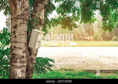 Old rusty electrical power control box on tree in the public park. Stock Photo