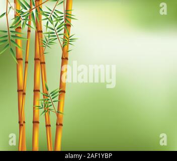 Bamboo tree on green background Stock Vector